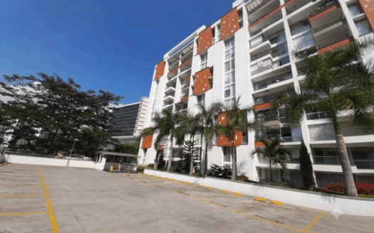 VENTA APARTAMENTO CAÑAVERAL. CONJUNTO TAYRONA 1